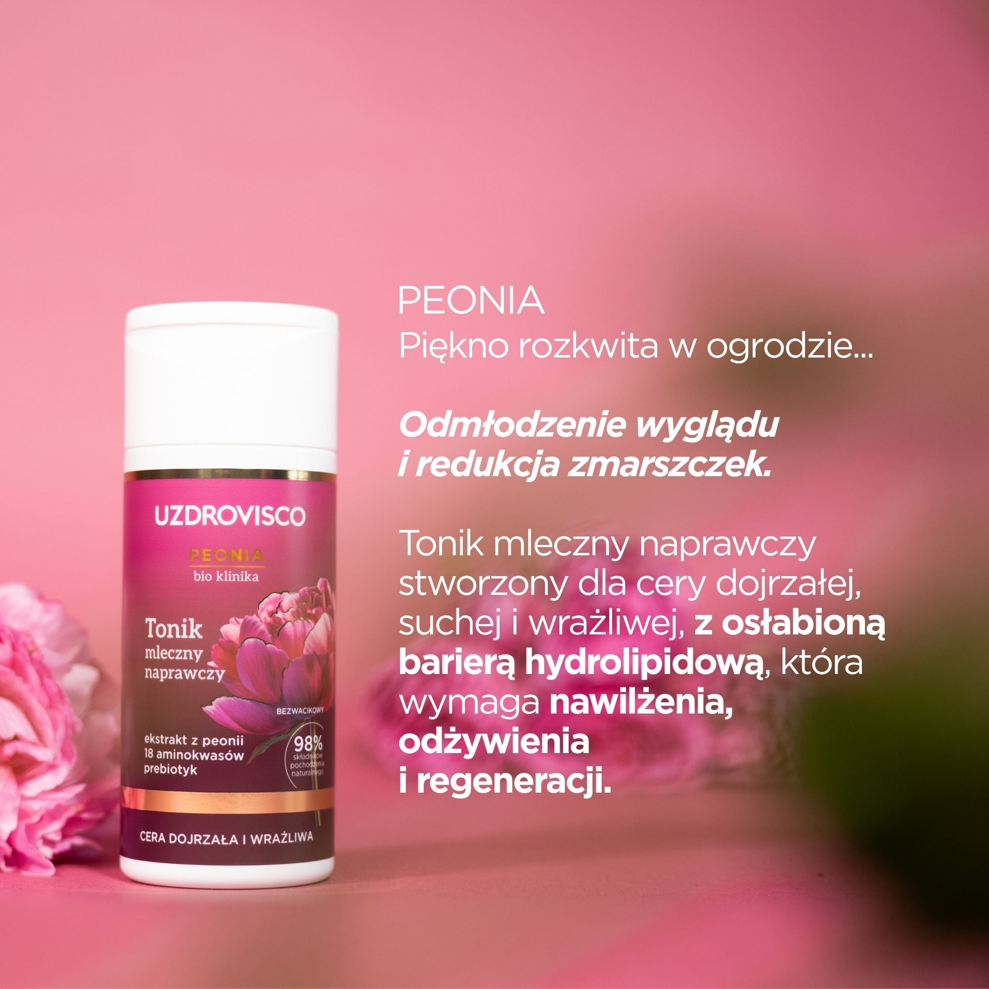 Powiększenie