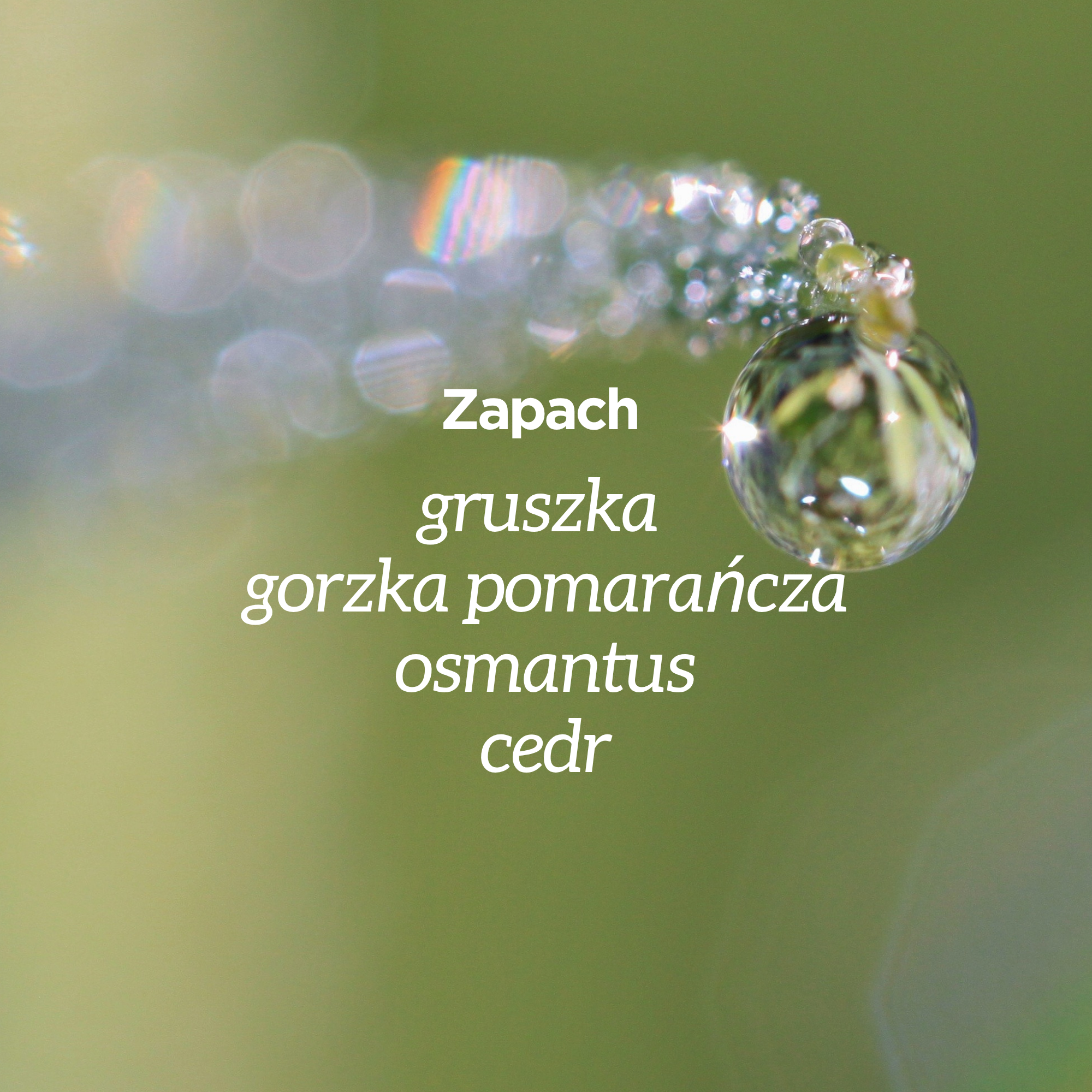 Powiększenie