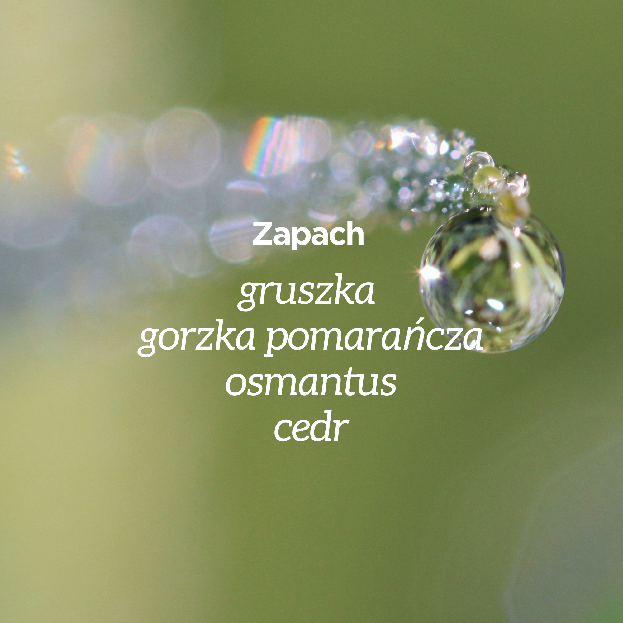 Powiększenie