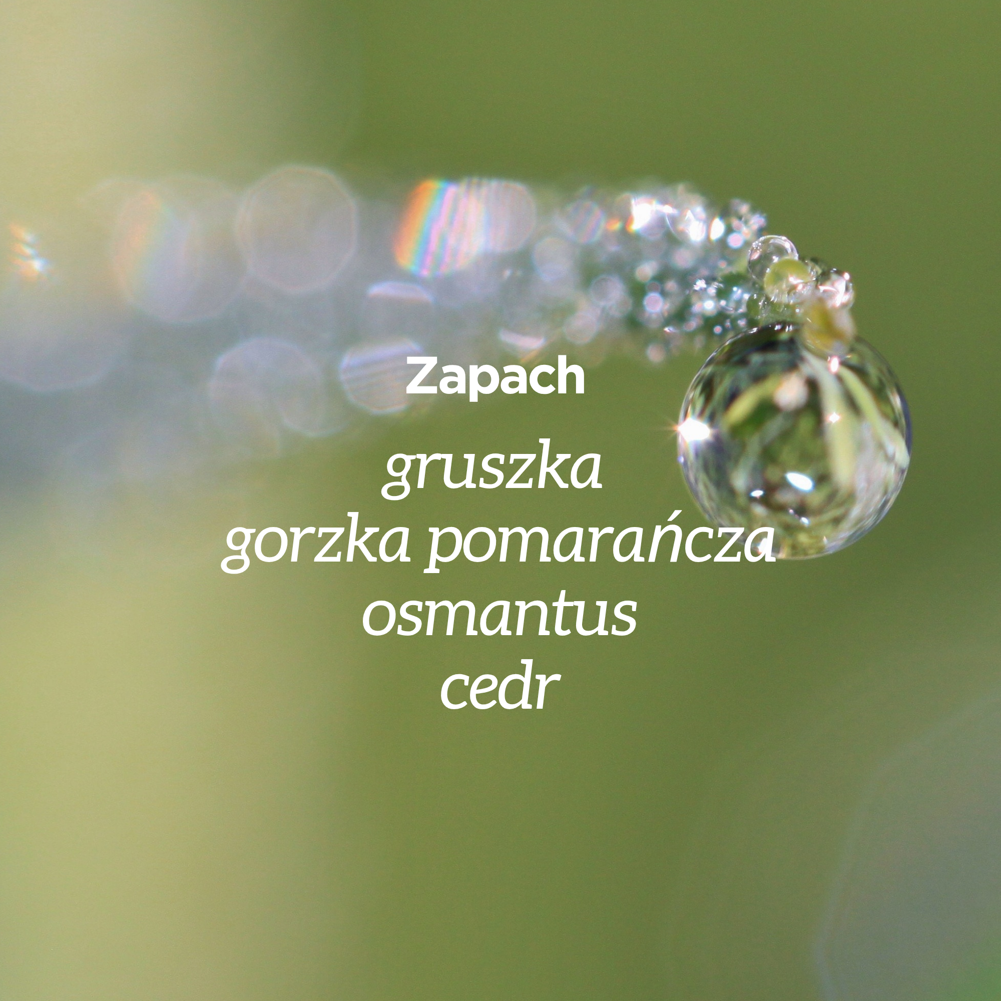 Powiększenie