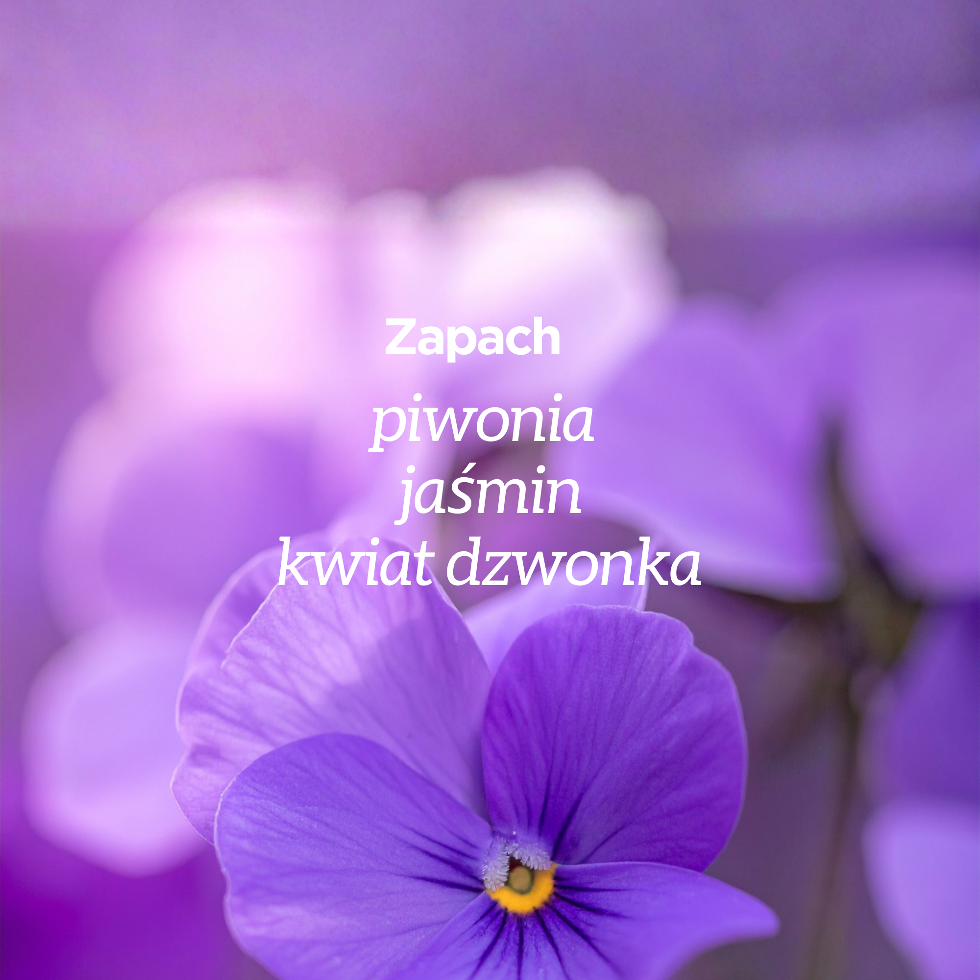 Powiększenie