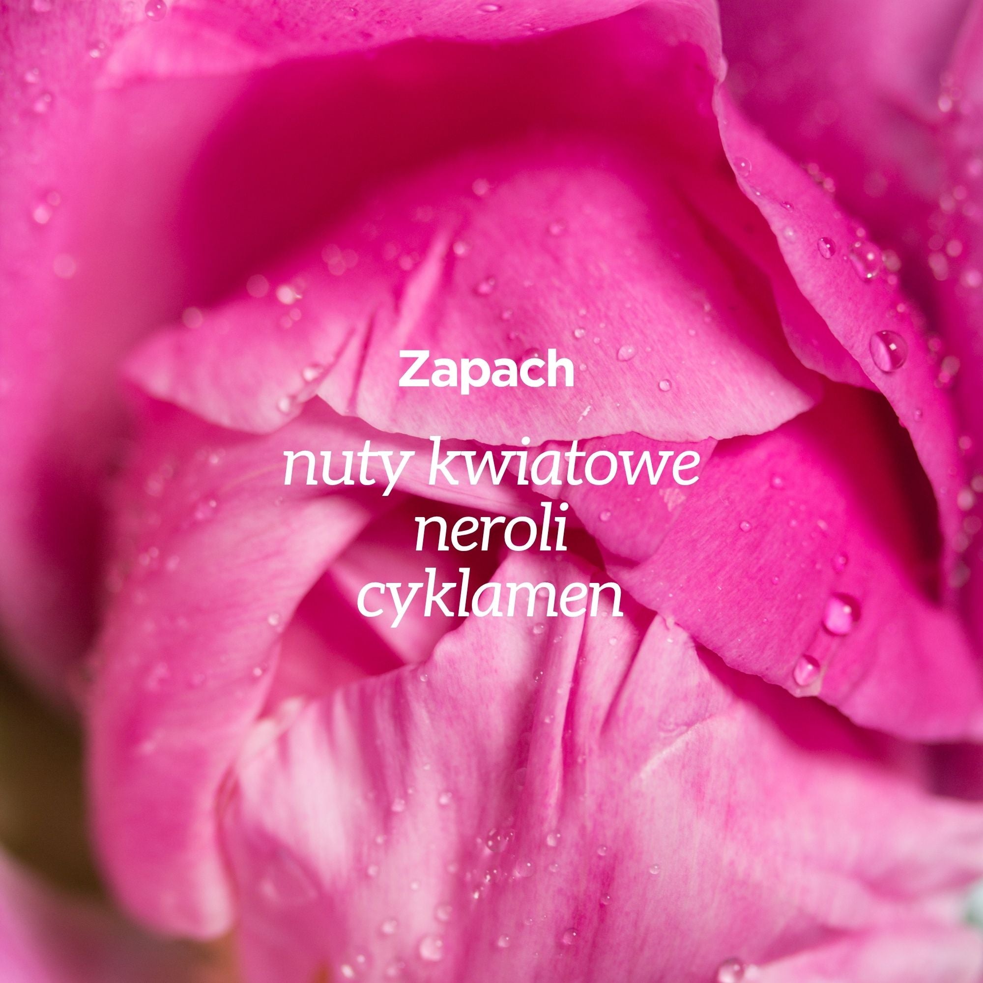 Powiększenie