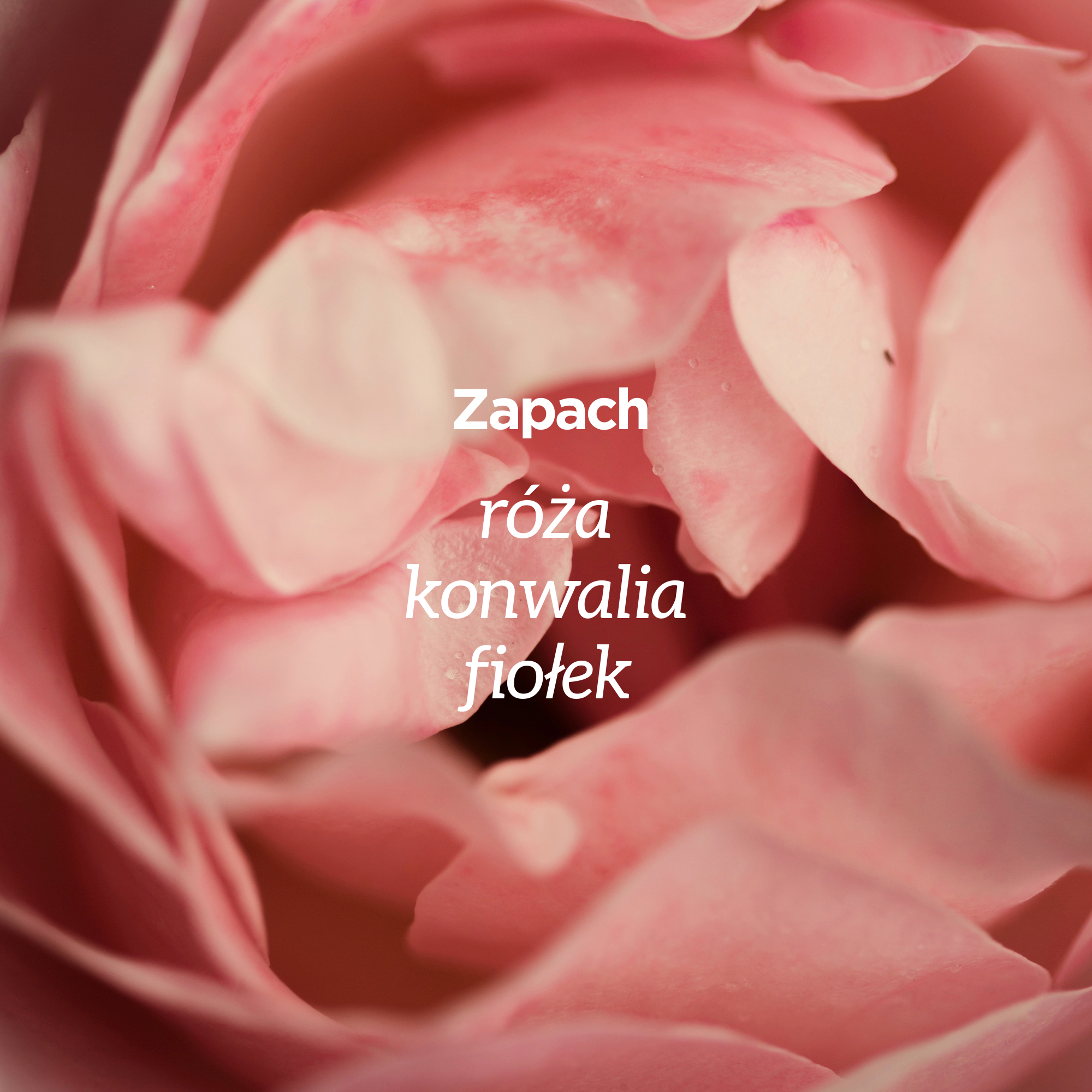 Powiększenie