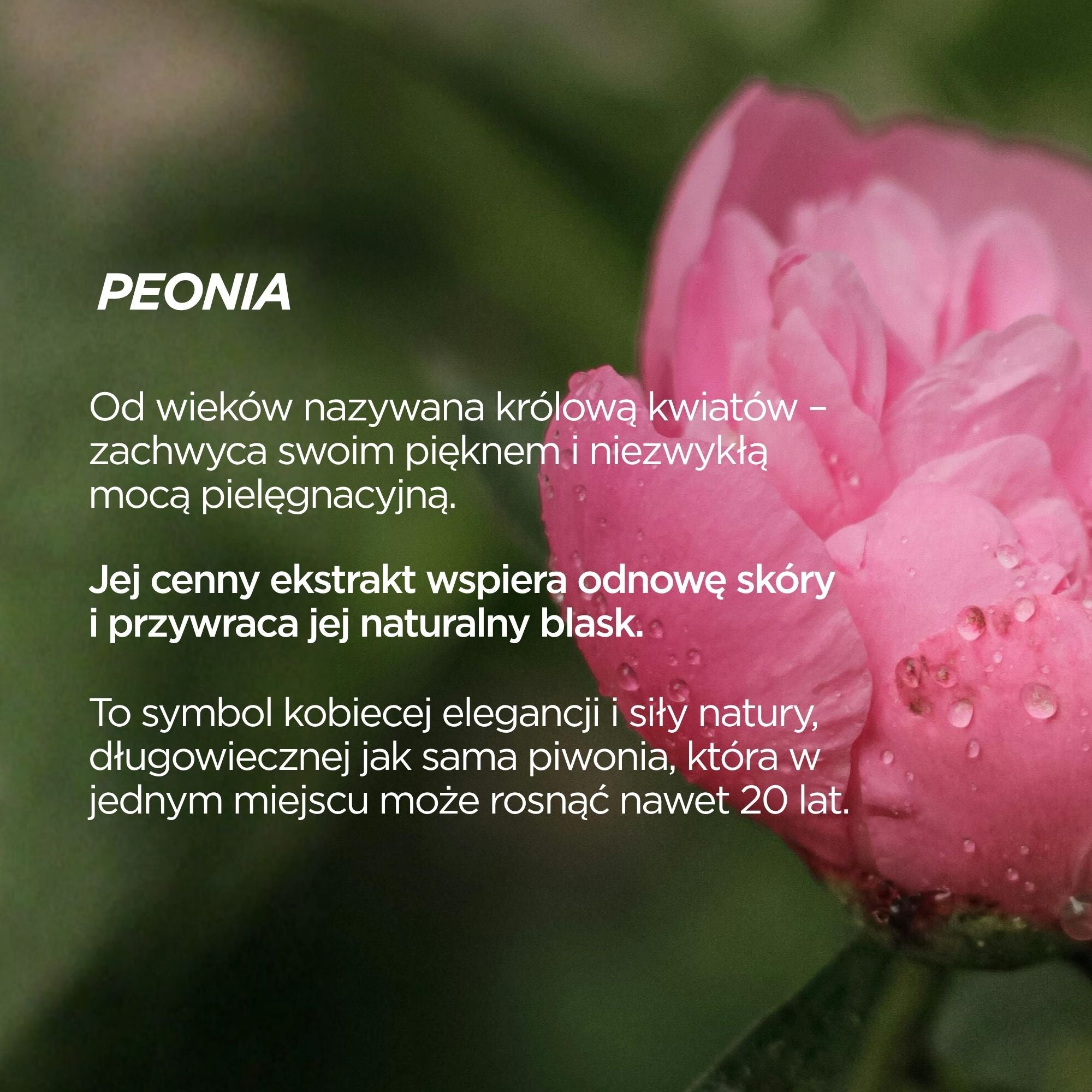 Powiększenie